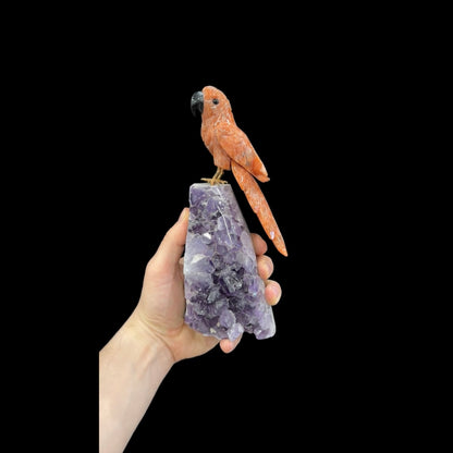 Orange Calcite Macaw #02