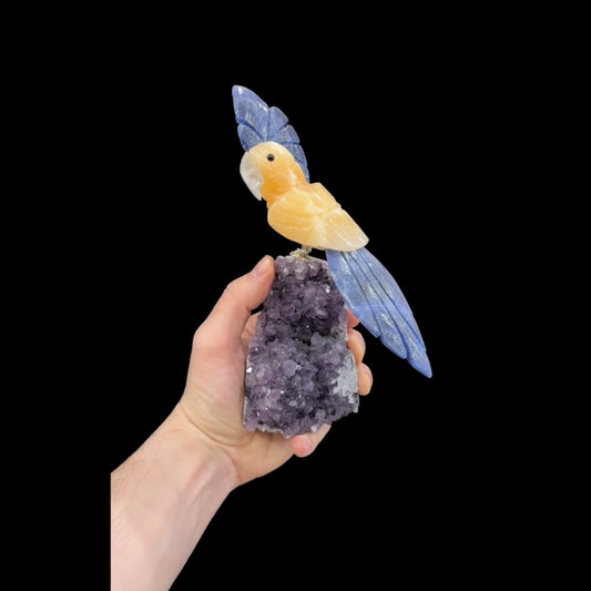 Yellow Calcite & Sodalite Parrot #03