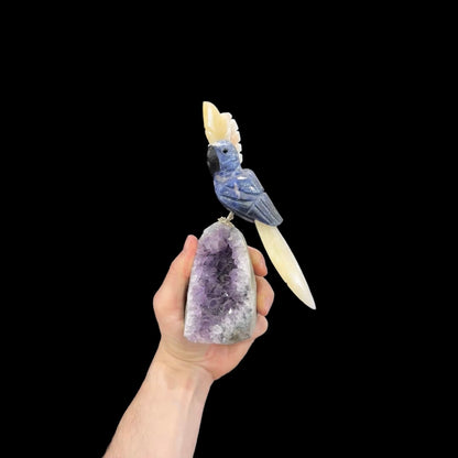 Sodalite Hyacinth Macaw #05