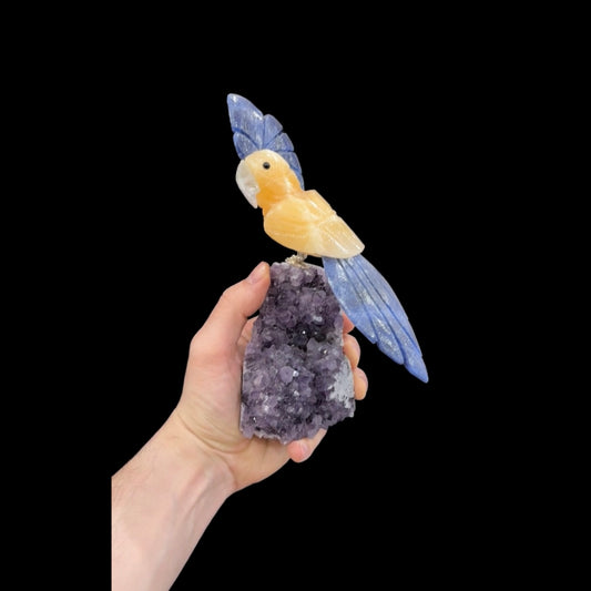 Yellow Calcite & Sodalite Parrot #06