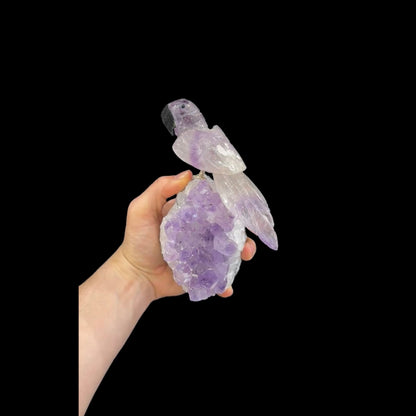 Amethyst Parrot #09