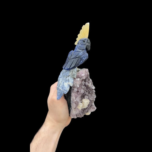 Sodalite Macaw with Calcite Crest #10