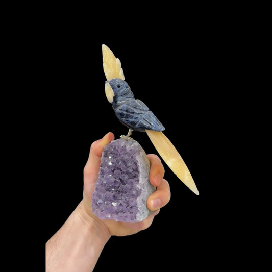 Sodalite Cockatoo with Yellow Calcite Crest #12
