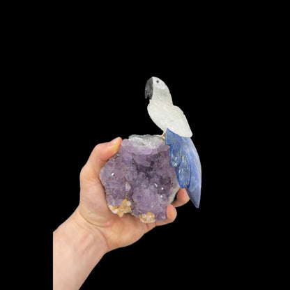 Clear Quartz Parrot with Sodalite Tail #15