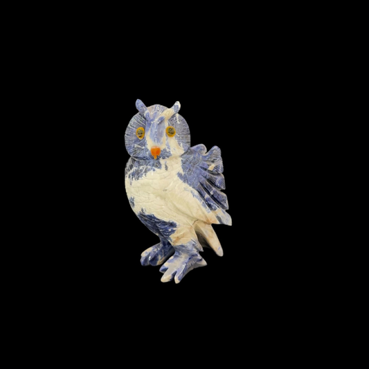 Sodalite Owl – 21cm | 2.36kg