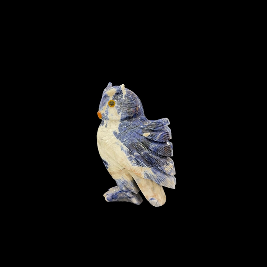 Sodalite Owl – 21cm | 2.36kg