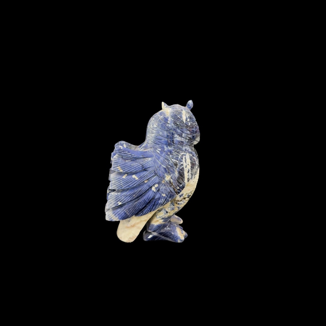 Sodalite Owl – 21cm | 2.36kg