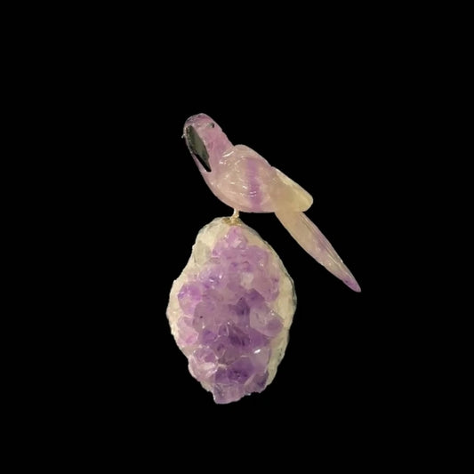 Amethyst Parrot on Amethyst Cutbase – 17cm | 1kg