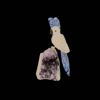 Rose Quartz Parrot with Sodalite Crown & Tail on Amethyst Cutbase – 18cm | 0.65kg