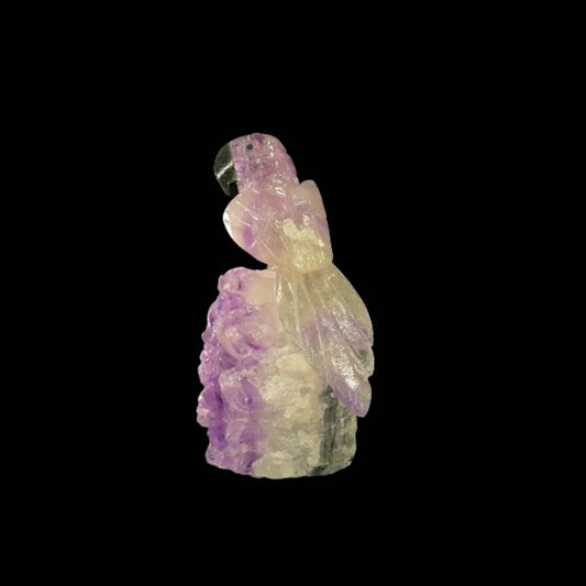 Amethyst Parrot on Amethyst Cutbase – 17cm | 1kg