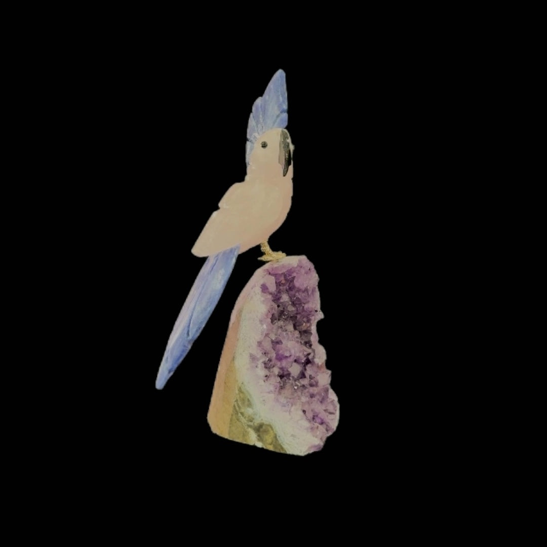 Rose Quartz Parrot with Sodalite Crown & Tail – 19.5cm | 0.65kg