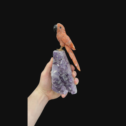 Orange Calcite Macaw #02