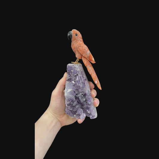 Orange Calcite Macaw #02