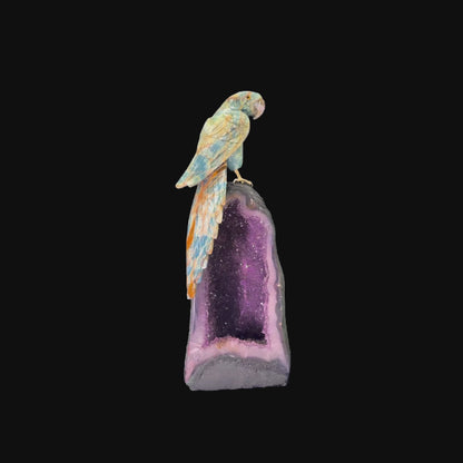 Blue Onyx Bird on Cathedral Amethyst Base – 52cm | 10.98kg