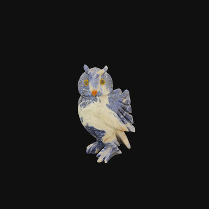 Sodalite Owl – 21cm | 2.36kg