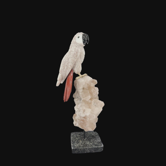 Dolomite Parrot with Red Jasper Tail on Smoky Quartz & Granite Base – 37cm | 3.66kg