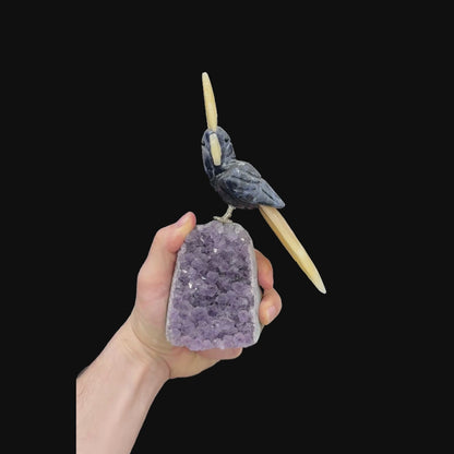 Sodalite Cockatoo with Yellow Calcite Crest #12