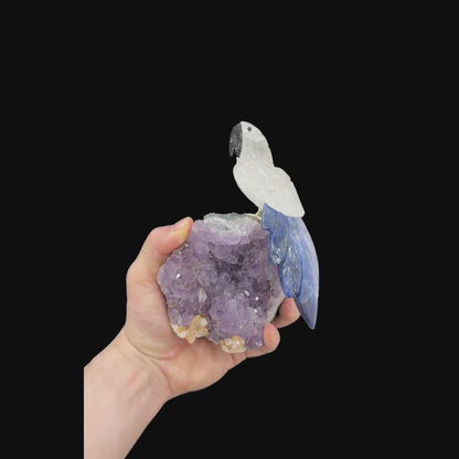 Clear Quartz Parrot with Sodalite Tail #15