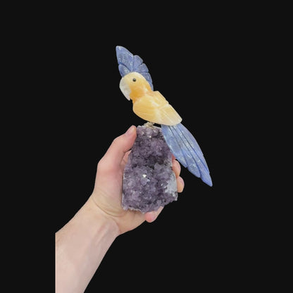 Yellow Calcite & Sodalite Parrot #06