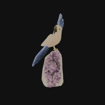 Rose Quartz Parrot with Sodalite Crown & Tail – 19.5cm | 0.65kg